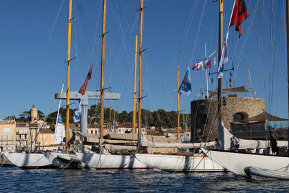 29 09 2025, Saint-Tropez (FRA, Les Voiles de Saint-Tropez 2025, Race Day 1