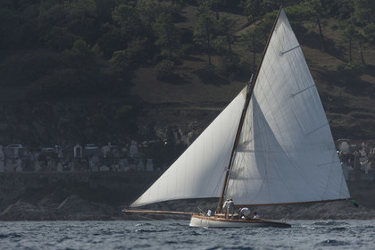 01 10 2014, Saint-Tropez (FRA,83), Voiles de Saint-Tropez 2014, Day 3, Alcyon