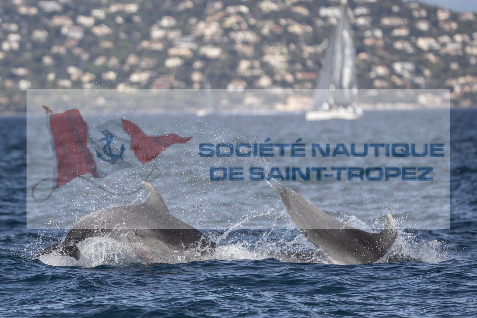 26 09 2020, Saint-Tropez (FRA,83), Les Voiles de Saint-Tropez 2020, Day 1, Training, Finish Yacht Club de France Cup Cannes - Saint-Tropez